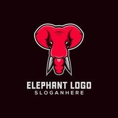 elephant mascot logo design
