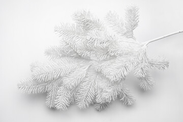 Beautiful Christmas fir branch isolated on white background