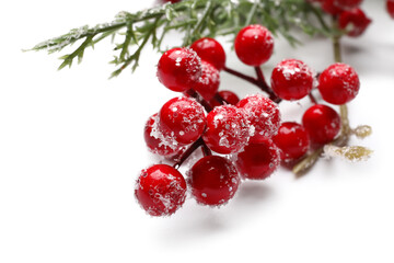 Beautiful Christmas fir branch with red berries on white background, closeup