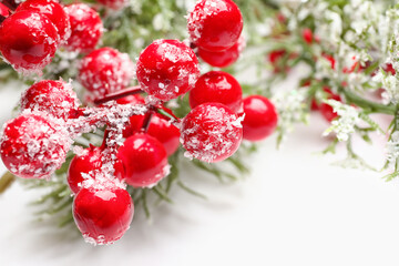 Beautiful Christmas fir branch with red berries on white background, closeup
