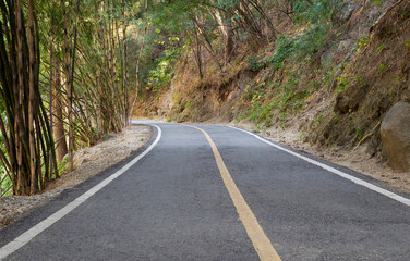 Country roads that stretch through the gorge and on both sides with bamboo forests in Chiang Mai, Thailand.