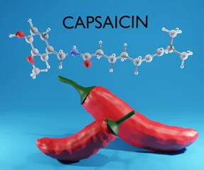 Fotobehang Chemical name of capsaicin and red chili pepper © Love Employee