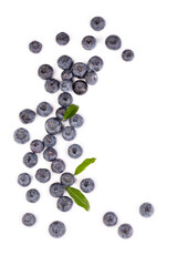 Fresh blueberries with bluberry leaves isolated on white background.