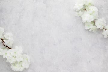 White flowers on white grunge background. Flat lay, top view with copy space, Minimalism