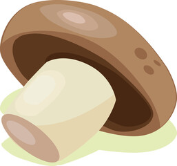 mushroom vegetable. vector illustration. healthy fresh and sweet food and fruit design.