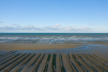 The oyster park at Utah Beach on the English Channel in Europe, France, Normandy, towards Carentan, in spring, on a sunny day.