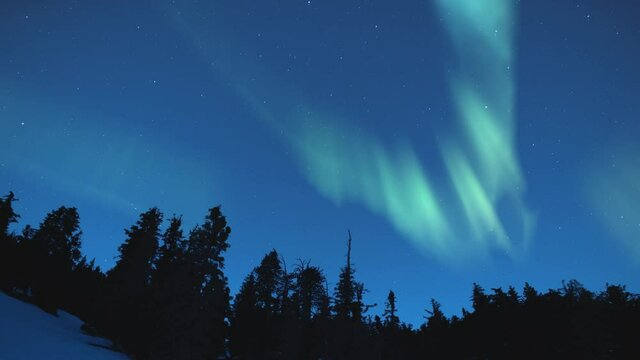 Aurora Starry Sky Southwest Above Pine Forest Winter Snow Time Lapse