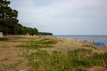 View of the beach on the shore of the Gulf of Finland, St. Petersburg