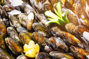 Mussels. Fresh mussels. Seafood Cooking ingredients from a farmers markets