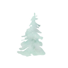 Watercolor illustration winter greenery, green spruce