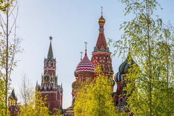 Fototapeta premium Multi-colored domes of St. Basil's Cathedral and the Spasskaya Tower of the Moscow Kremlin around the trees. Symbols of the Russian state.