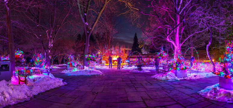 Winter park path at night with Christmas lights