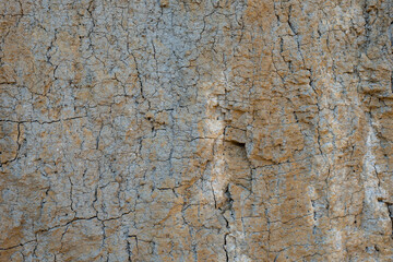 Clay soil surface texture. Brown background, wallpaper.