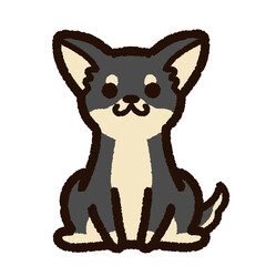 かわいいチワワ　黒
