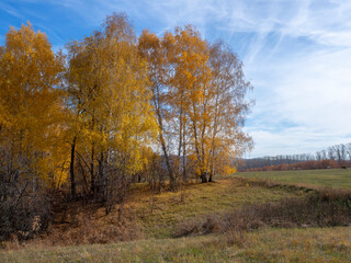 Beautiful autumn countryside landscape. Autumn sunny day. Nature in October.