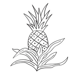 Pineapple Vector art for kids coloring book black and white Illustration.