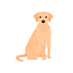 Cute labrador on a white background. A dog in a cartoon design.
