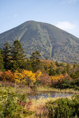 紅葉と八甲田山