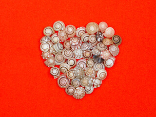 Heart of seashells on a red paper background, the concept of Valentine's Day, sea, vacation, holiday. Top view flat lay, closeup