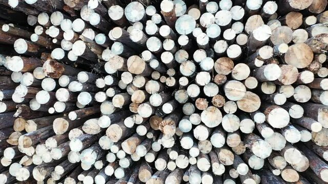 Outdoor lumber warehouse - preparing wood for construction.