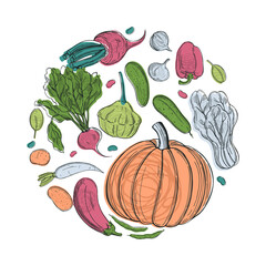 Vector background with vegetables.