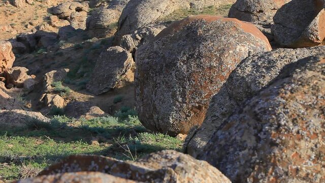 Kazakhstan. Ustyurt Plateau. Ball formations.