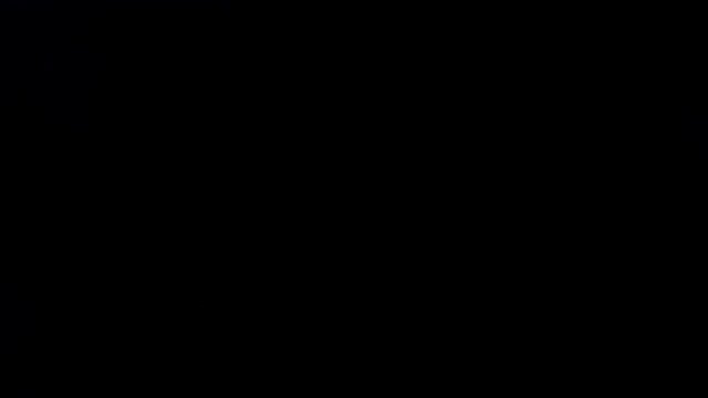 Nutmeg, myristica fragans, Nut flying. Black Background, Slow Motion 4K