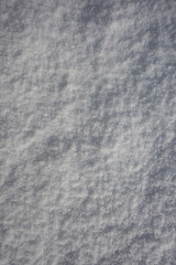 Snow background, winter texture, snowy surface of fluffy snow.