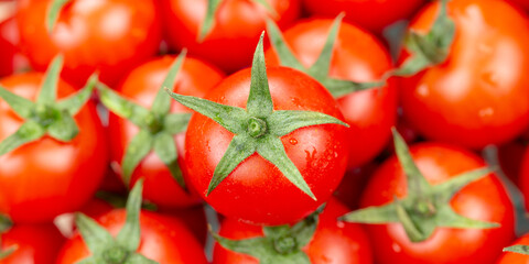 Tomato tomatoes tomatos vegetable vegetables from above panorama - obrazy, fototapety, plakaty