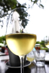 A glass of white wine on a table .