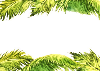 Watercolor banner with green palm leaves