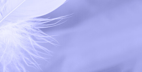 Fototapeta na wymiar A feather on a lilac textile background.Creative background toned in color of the year 2022,very peri.Copy space.