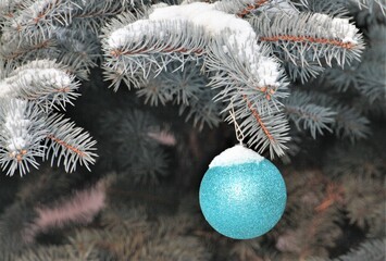christmas tree