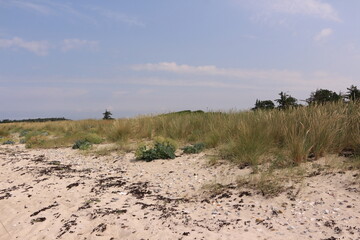 Blick auf die Küstenlandschaft der Ostseeinsel Fehmarn