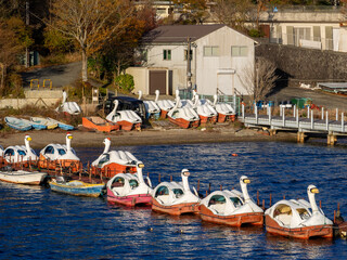 Swan shaped foot rowing boats moored at lakeside (Lake Ashinoko, Hakone, Kanagawa, Japan)