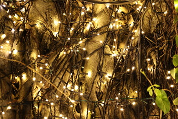 電飾されたキラキラ光る大きなガジュマルの木