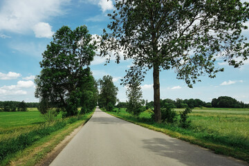 Fototapeta na wymiar Asphalt road background. Summer countryside landscape. Weekend roadtrip travel drive. Good weather scenery. Way out of the city.