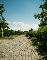 path in the garden