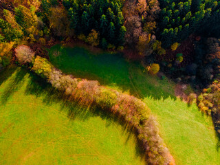 autum forest aerial photo