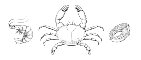 Sea food set sketch engraving retro illustration - 474845201