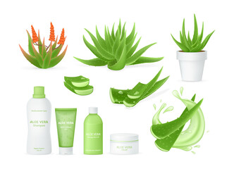 Aloe vera realistic set with fresh drops of water