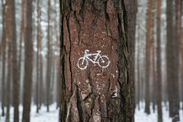 Fototapeta premium Forest bike path sign on a tree.