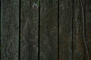 Fototapeta premium old wooden fence from old boards. close-up, can be used as photo background
