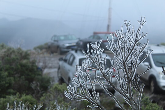 paisagem branca de Neve em Urupema, Santa Catarina, Brasil, em 29 de junho de 2021 