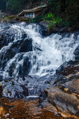waterfall in the forest