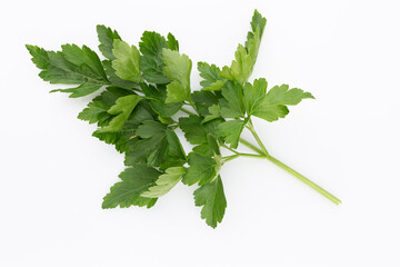 Bio parsley leaf on white background.