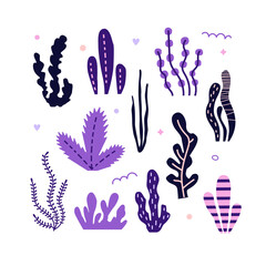 Vector illustration set of decorative seaweed.Pink and purple color. Poster, for printing on textiles, for wall design. Hand-drawn style © Olga Shelukhova