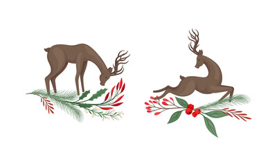 Set of deers with tree branches and holly berries. Autumn and winter season design elements cartoon vector illustration