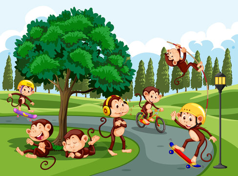 Monkeys doing different activities at the park