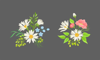 Wildflowers and chamomiles set. Wild blooming meadow flowers, decorative floral design vector illustration